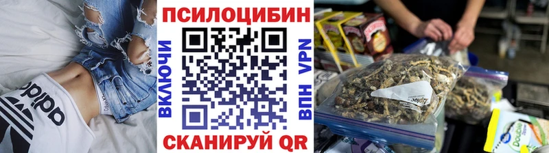 Псилоцибиновые грибы GOLDEN TEACHER ссылка на мегу вход Балтийск даркнет сайт