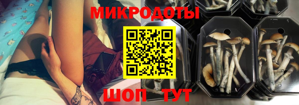 Балтийск  Псилоцибиновые грибы GOLDEN TEACHER  купить  сайты  Вход с VPN  Псилоцибиновые грибы мицелий 